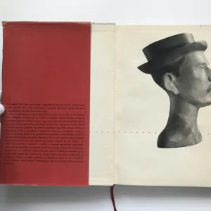 Oto Gutfreund, Josef Císařovský