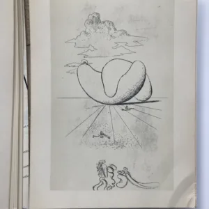 Salvador Dali, Galerie D