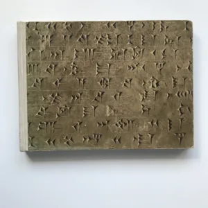 Assyrische Palastreliefs, R. D. Barnett, Werner Forman