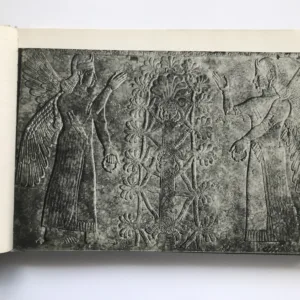 Assyrische Palastreliefs, R. D. Barnett, Werner Forman