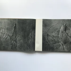 Assyrische Palastreliefs, R. D. Barnett, Werner Forman