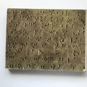 Assyrische Palastreliefs, R. D. Barnett, Werner Forman