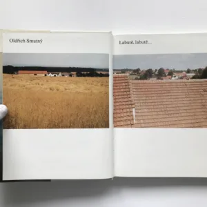 Labutě, labutě..., Oldřich Smutný