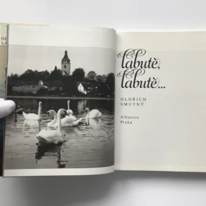 Labutě, labutě..., Oldřich Smutný