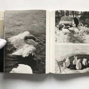 Labutě, labutě..., Oldřich Smutný