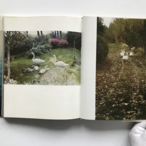 Labutě, labutě..., Oldřich Smutný