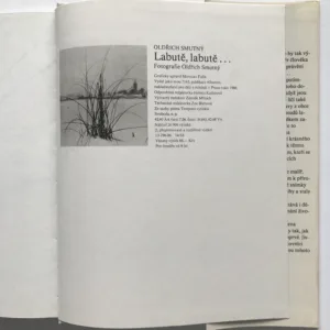 Labutě, labutě..., Oldřich Smutný