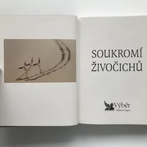Soukromí živočichů, John Palmer