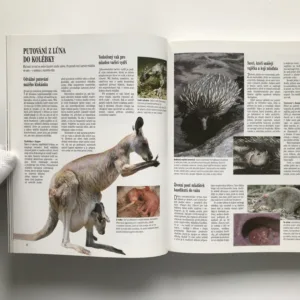 Soukromí živočichů, John Palmer