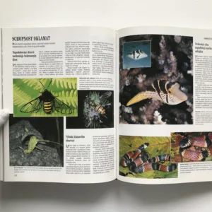 Soukromí živočichů, John Palmer