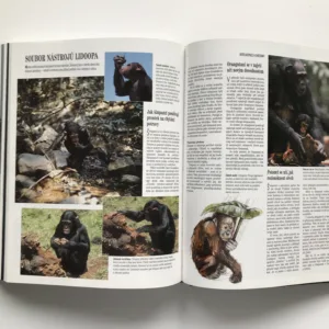 Soukromí živočichů, John Palmer