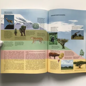 Planeta tajuplných světů, Mary Devineová