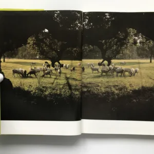 Den bílého jelena, Jarolav Holeček, Ivana Nohejlová