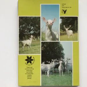 Den bílého jelena, Jarolav Holeček, Ivana Nohejlová