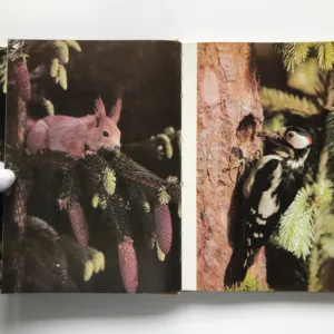 O rezaté veverce, Jarolav Holeček, Daniela Fischerová