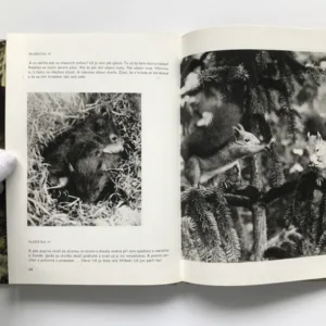 O rezaté veverce, Jarolav Holeček, Daniela Fischerová