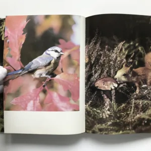 O rezaté veverce, Jarolav Holeček, Daniela Fischerová