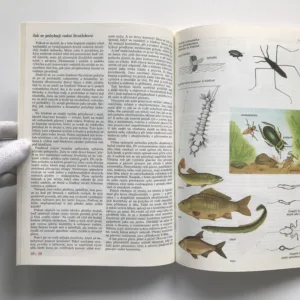 Malá tajemství přírody, Luděk J. Dobroruka, Jana Dobroruková, Petr Rob