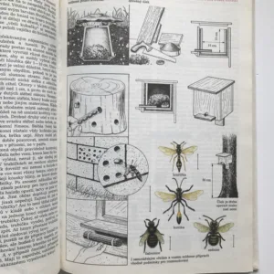 Malá tajemství přírody, Luděk J. Dobroruka, Jana Dobroruková, Petr Rob