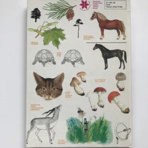 Malá tajemství přírody, Luděk J. Dobroruka, Jana Dobroruková, Petr Rob