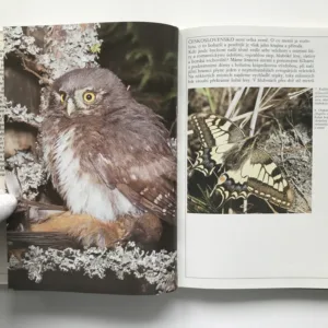 Přírodní krásy Československa, Martin Čihař