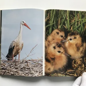 Přírodní krásy Československa, Martin Čihař