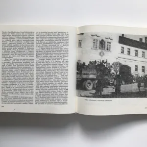 Jílové u Prahy (Historie a současnost)