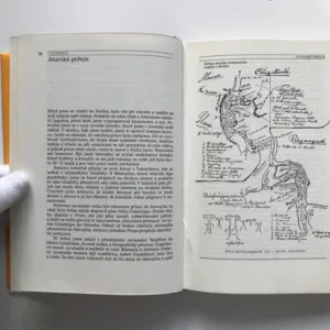 Napříč rovníkovou Amerikou, Enrique Stanko Vráz