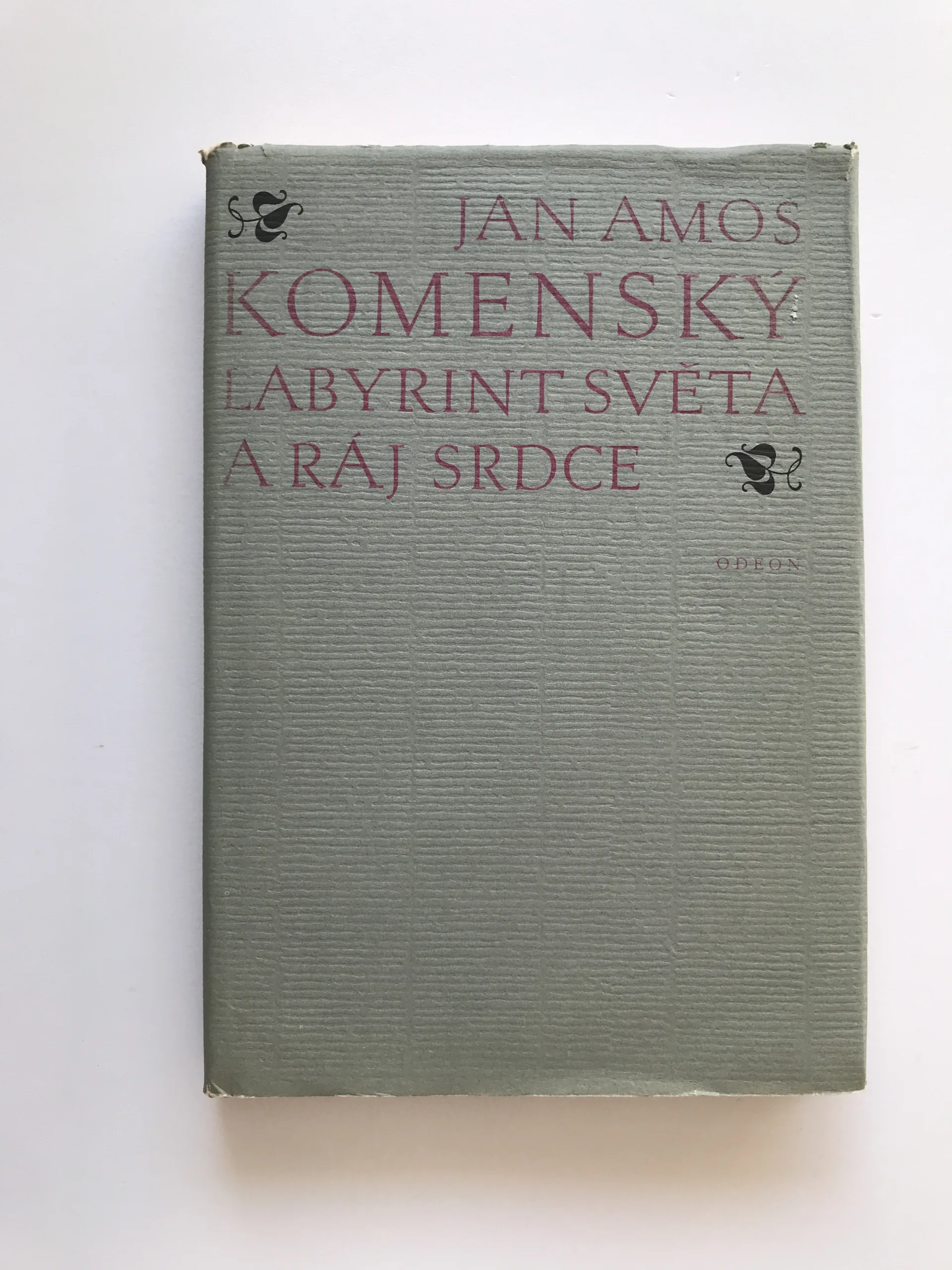 Labyrint světa a ráj srdce, Jan Amos Komenský