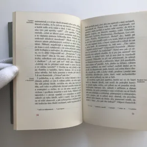 Labyrint světa a ráj srdce, Jan Amos Komenský