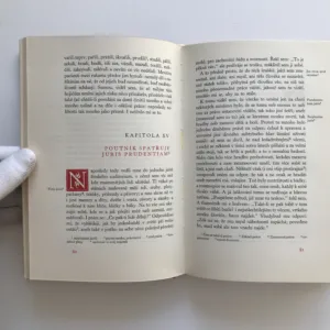 Labyrint světa a ráj srdce, Jan Amos Komenský