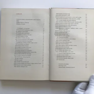 Labyrint světa a ráj srdce, Jan Amos Komenský