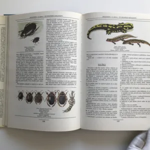 Výpravy za dobrodružstvím, Miloš Zapletal, Marko Čermák