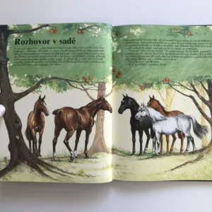 Černý krasavec, Anna Sewellová, Eric Rowe