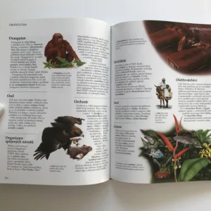 Ottova velká školní encyklopedie A-Ž