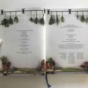 Jídlo jako jed, jídlo jako lék