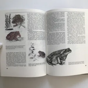 Obojživelníci a plazi, Jurij Dmitrijev