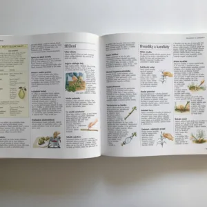 1000 nápadů a rad pro zahrádkáře, kolektiv autorů, Václav Větvička