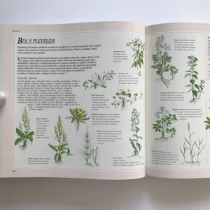 1000 nápadů a rad pro zahrádkáře, kolektiv autorů, Václav Větvička