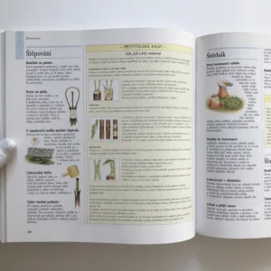 1000 nápadů a rad pro zahrádkáře, kolektiv autorů, Václav Větvička