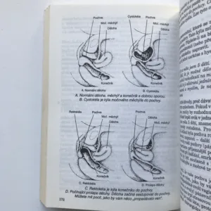 Přechod a roky po něm, Mary K. Beard, Lindsay R. Curtis