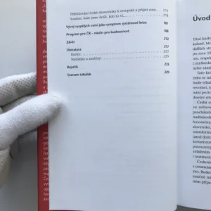 Jak jsme se stali kolonií, Ilona Švihlíková