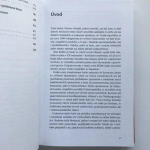 Jak jsme se stali kolonií, Ilona Švihlíková