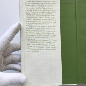 Moji milí bratři, Helena Čapková