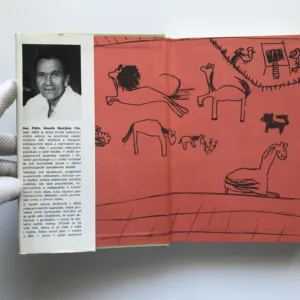 Rodiče a děti, Zdeněk Matějček