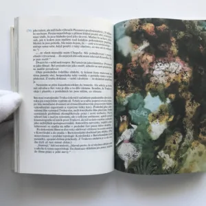 Jiří Trnka, Helena Chvojková