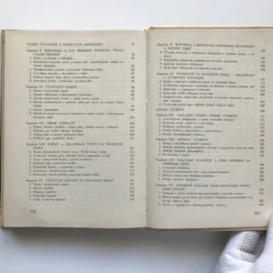 Pedagogika, N. V. Savin