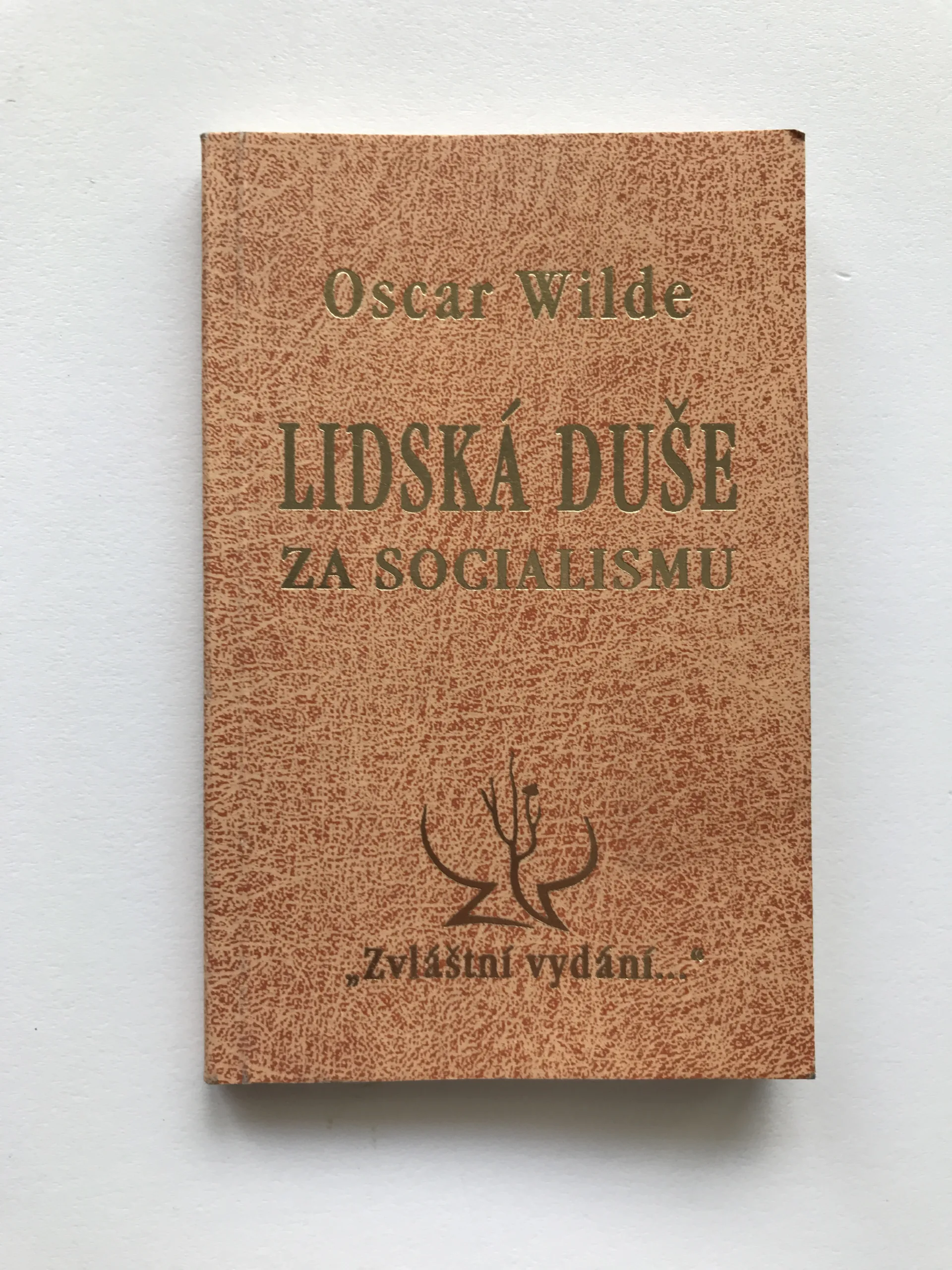 Lidská duše za socialismu, Oscar Wilde