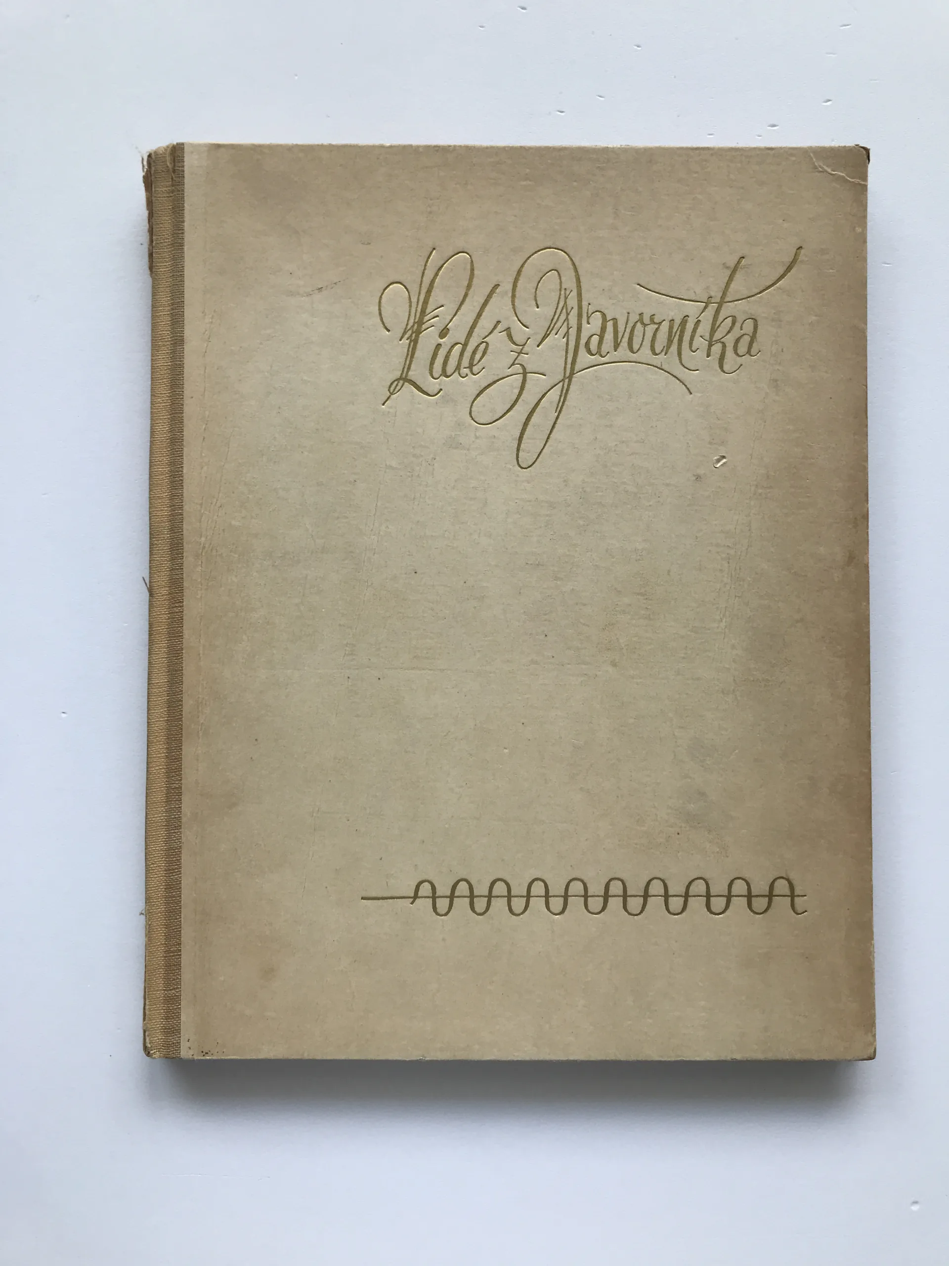 Lidé z Javorníka, Ferdinand Bučina