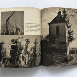 Lidé z Javorníka, Ferdinand Bučina